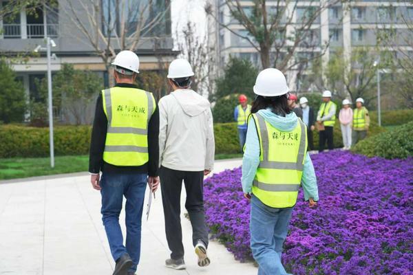 森与天成工地开放日圆满落幕舒居生活眼见为实(图1)