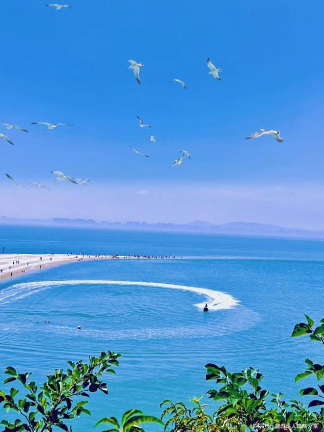 华东旅游4天3晚经验分享华东4日游跟团报价多少收藏不迷路(图3)
