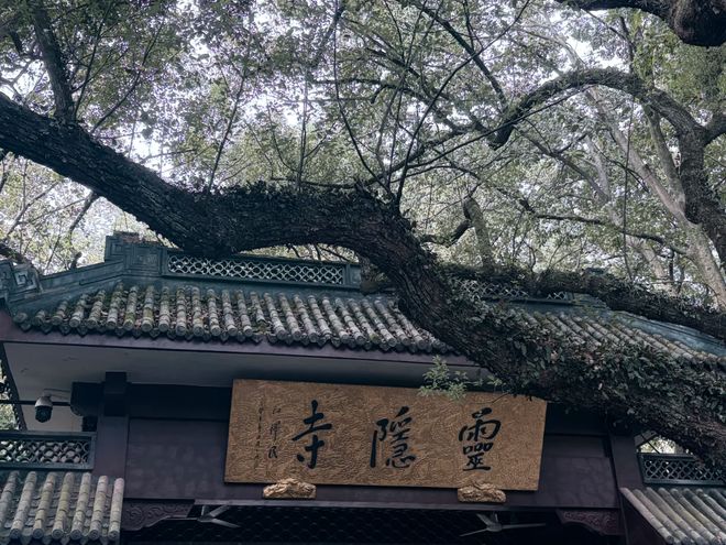 苏杭旅游必去十大景点西湖乌镇园林四天时间玩转诗画江南(图2)