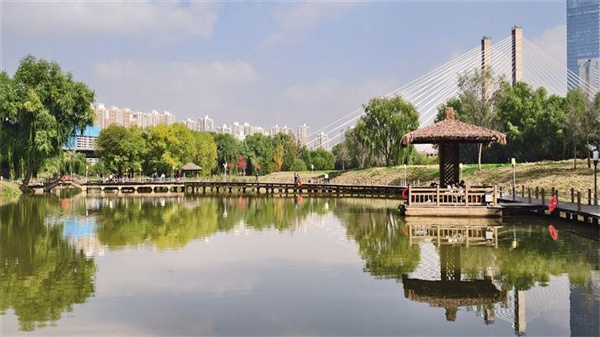 Kaiyun体育网站：黄河岸边风光好金城处处有美景(图3)