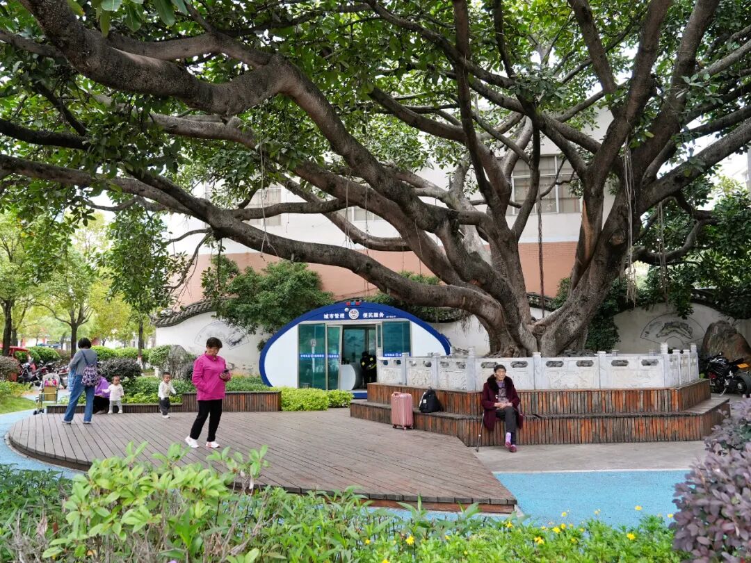 “微改造、精提升”让城市有颜值更有温度(图2)
