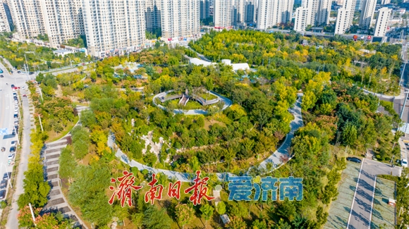 秋色如画正当时望岳康体公园粉黛花开引客来(图1)