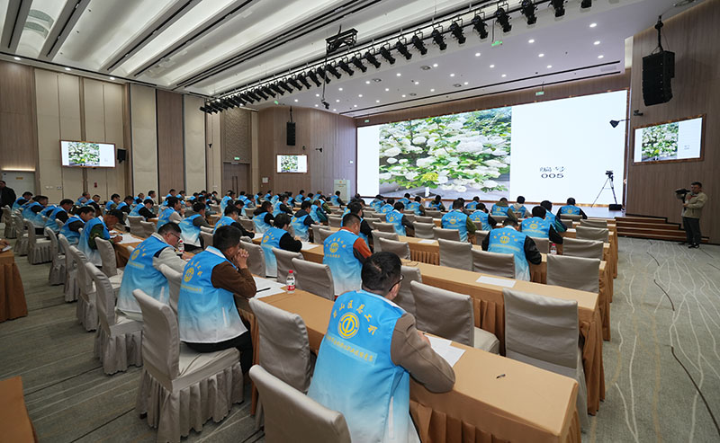Kaiyun（中国体育）：合肥市总工会邀园丁竞园艺秀绝技(图2)