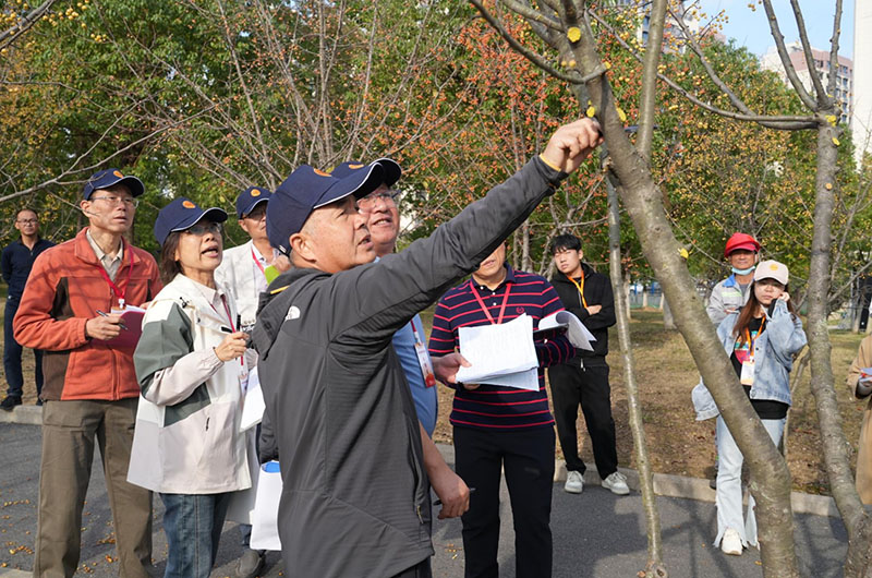 Kaiyun（中国体育）：合肥市总工会邀园丁竞园艺秀绝技(图4)