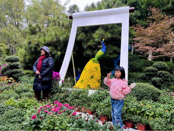 第46届趵突泉金秋菊展即将登场游览攻略来了(图2)