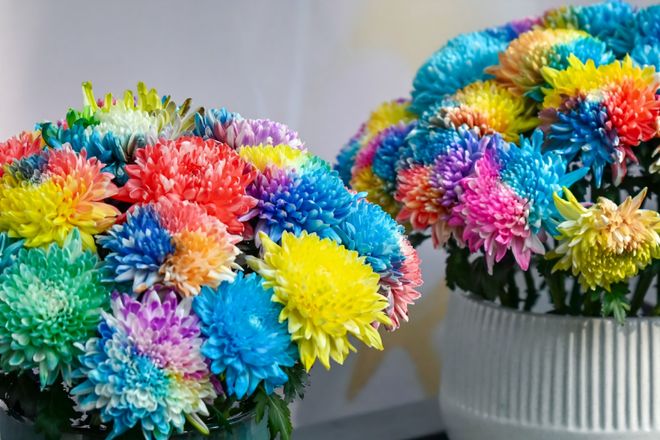 第46届趵突泉金秋菊展即将登场游览攻略来了(图4)