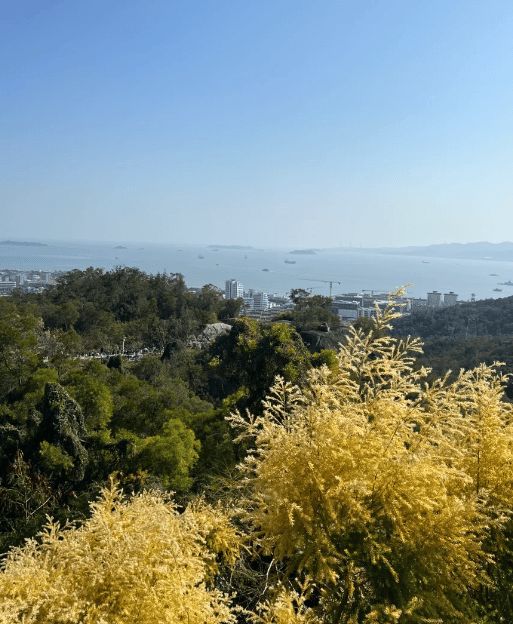 Kaiyun（中国体育）：厦门5天4晚深度行行程规划省钱又省心！厦门旅游真实经历分享(图3)