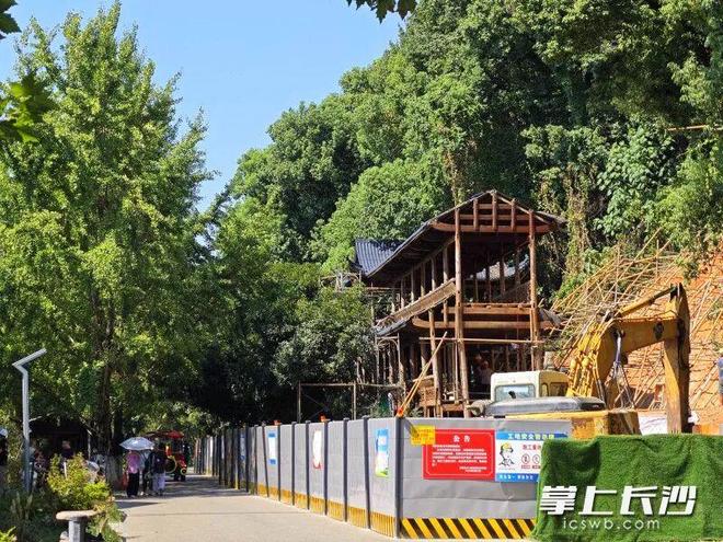 长沙这个景点即将恢复开放！(图1)