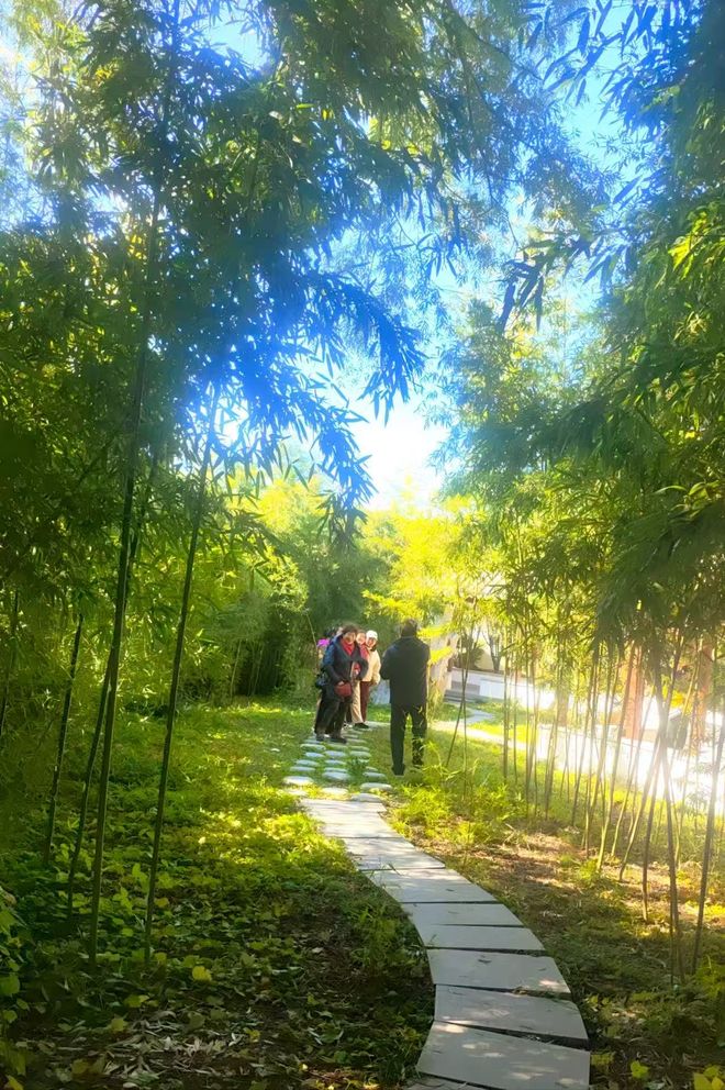 Kaiyun（中国体育）：重阳情满怀欢乐晚秋游——老年大学合唱班重阳游学记(图1)