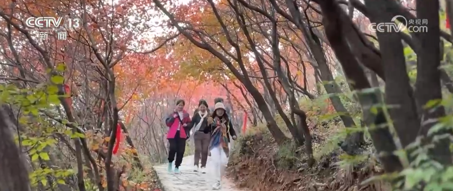 “斑斓秋色+新潮玩法”点燃赏秋游新热力文旅新消费活力十足(图5)