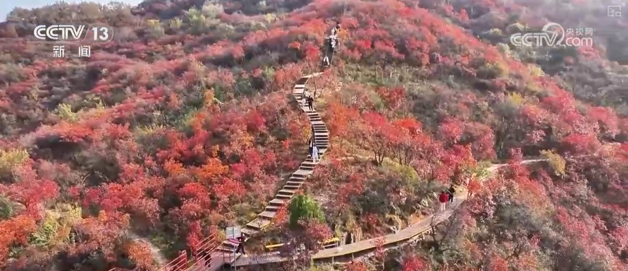 “斑斓秋色+新潮玩法”点燃赏秋游新热力文旅新消费活力十足(图6)