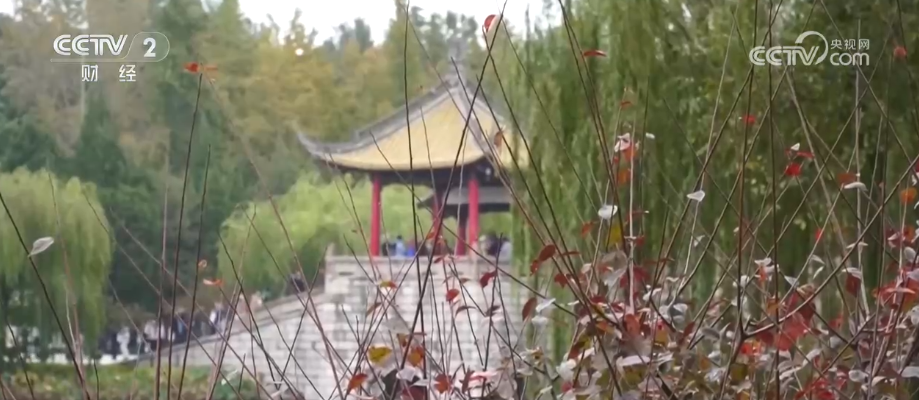 “斑斓秋色+新潮玩法”点燃赏秋游新热力文旅新消费活力十足(图11)