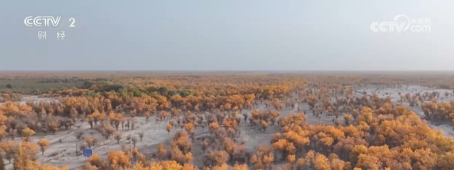 “斑斓秋色+新潮玩法”点燃赏秋游新热力文旅新消费活力十足(图18)