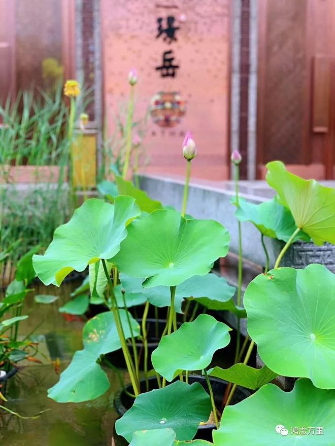 热搜好房！北京懋源璟岳售楼处发布：懋源璟岳营销中心！(图11)