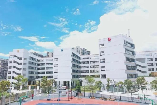 火热中！中建鹏宸云筑售楼处电话：打造岭南东方诗意园林景观(图13)