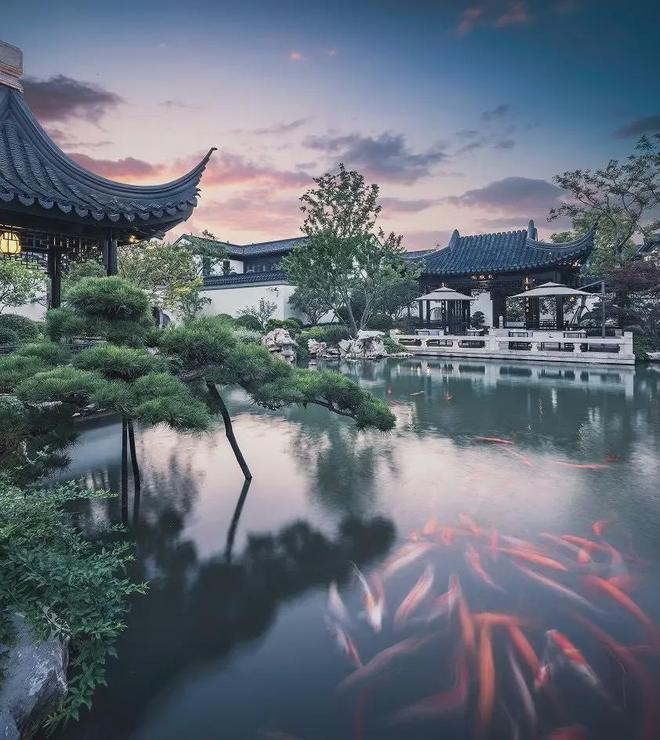 楼市热搜®上海闵行桃花源售楼处桃花源发布：购房热潮(图11)