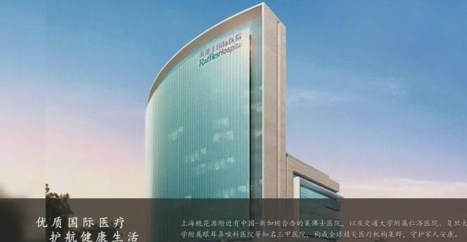 楼市热搜®上海闵行桃花源售楼处桃花源发布：购房热潮(图32)