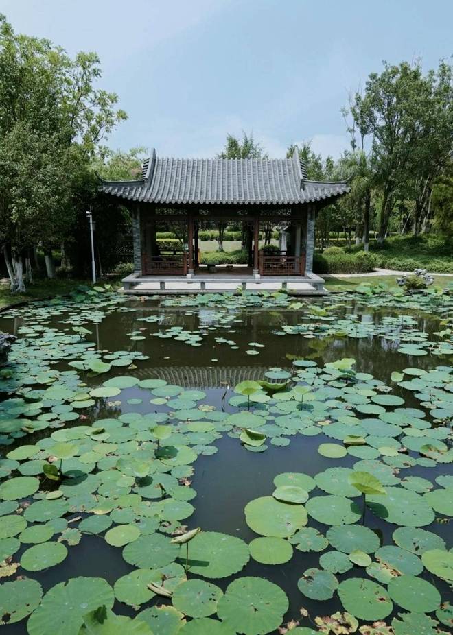 Kaiyun体育网站：厦门园博苑十大园区之岭南园(图3)