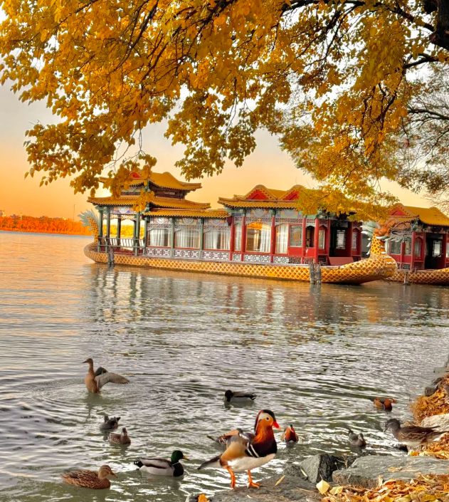 带父母去北京旅游5天休闲游怎么安排？五天费用明细及景点推荐(图2)