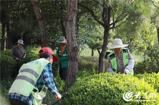 沂源：绿化精细管理再升级绘就生态宜居新画卷(图4)