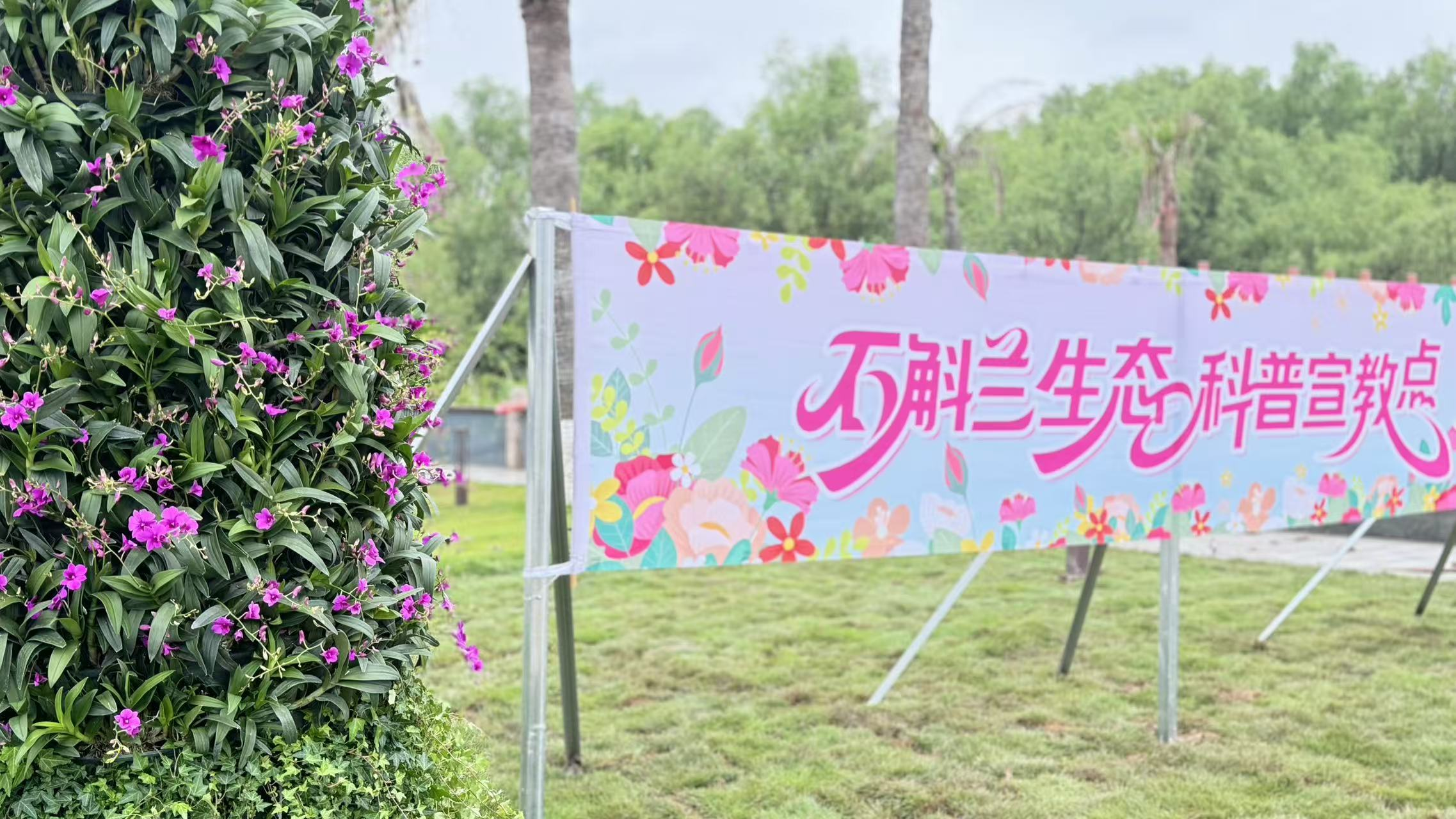 Kaiyun体育网站：广州南沙披上“繁花盛装”扮靓绿美全运画卷(图3)