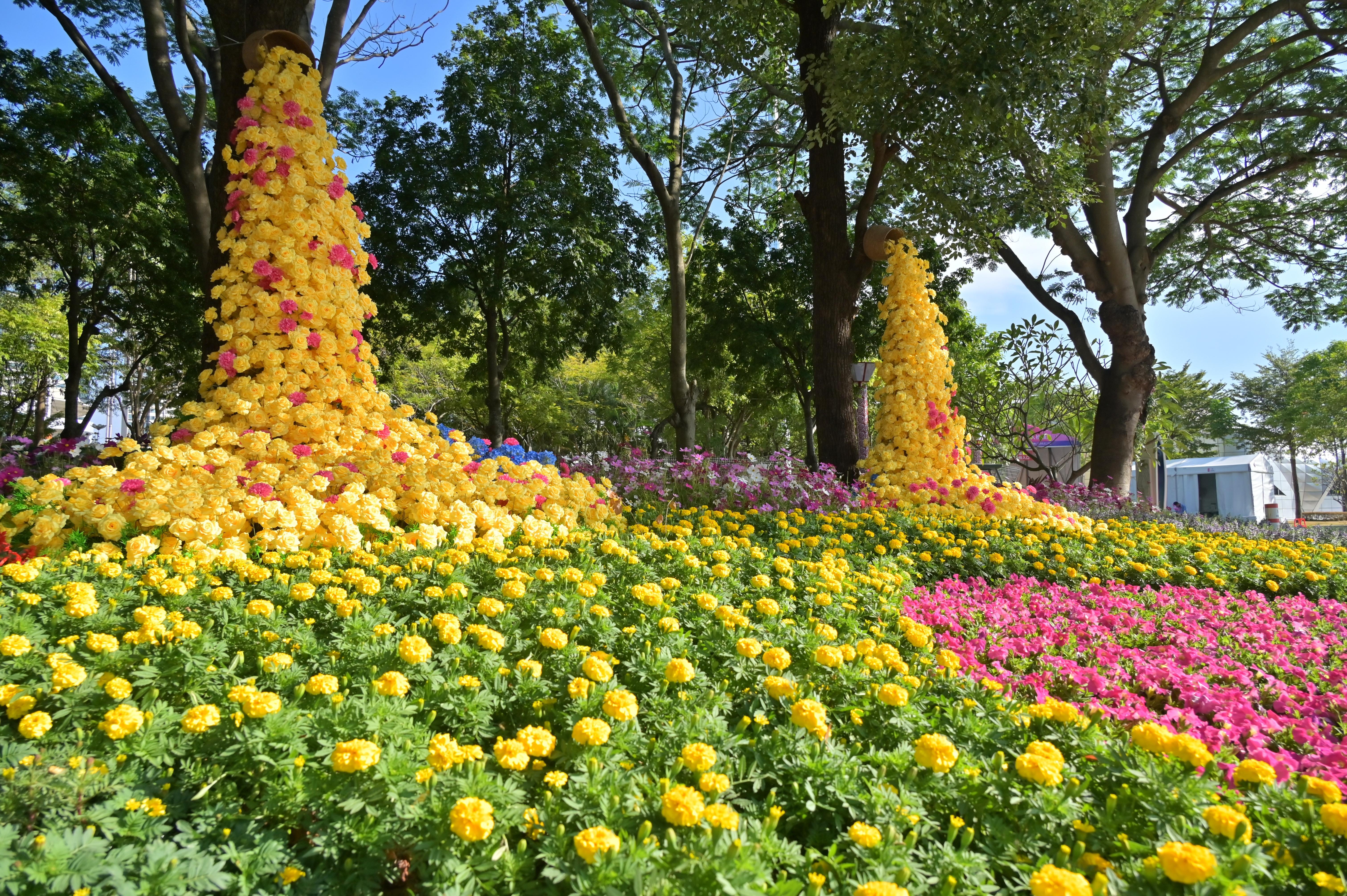 Kaiyun体育网站：广州南沙披上“繁花盛装”扮靓绿美全运画卷(图5)