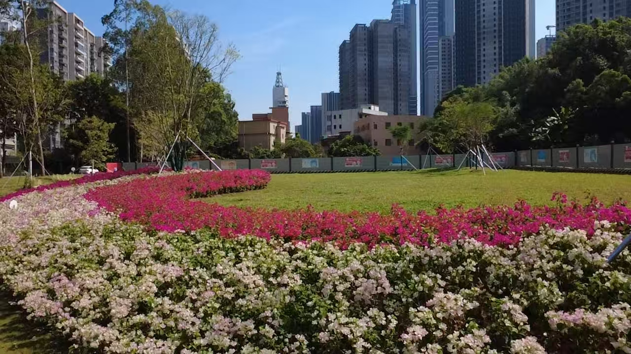 Kaiyun体育网站：广州南沙披上“繁花盛装”扮靓绿美全运画卷(图9)