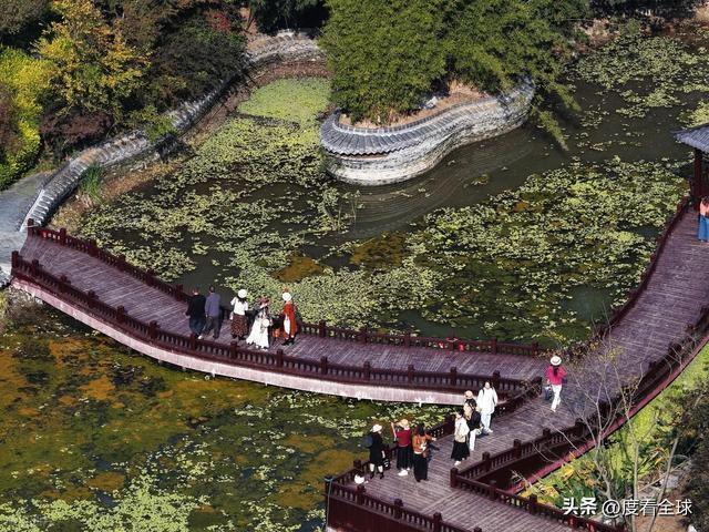 Kaiyun体育网站：千年扬州藏璞玉初冬朴园绘就新时代“淮南第一名园”盛景！(图12)