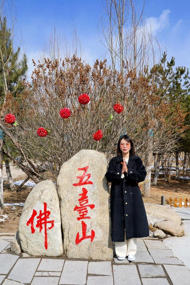 Kaiyun（中国体育）：山西全景六日游攻略：携程报价参考+景点攻略跟团自由行都适配(图2)