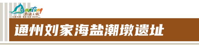 文脉江海华章新篇！南通四普新发现成果丰硕(图3)