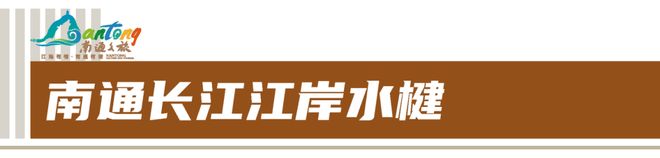 文脉江海华章新篇！南通四普新发现成果丰硕(图7)
