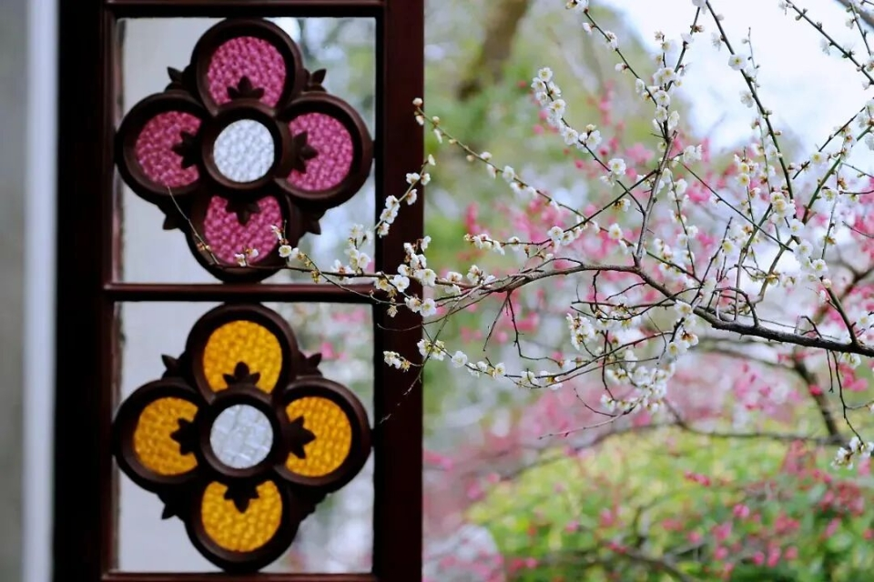 “赏花事、观花灯”苏州百场园事邀你“冬季游园林”(图2)