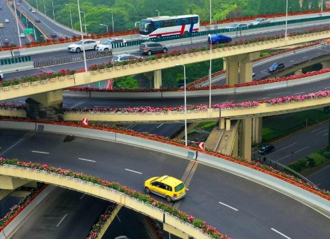 为啥中国绿化带那么多而国外却很少见？(图3)