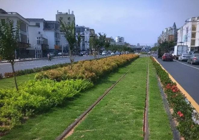 为啥中国绿化带那么多而国外却很少见？(图6)