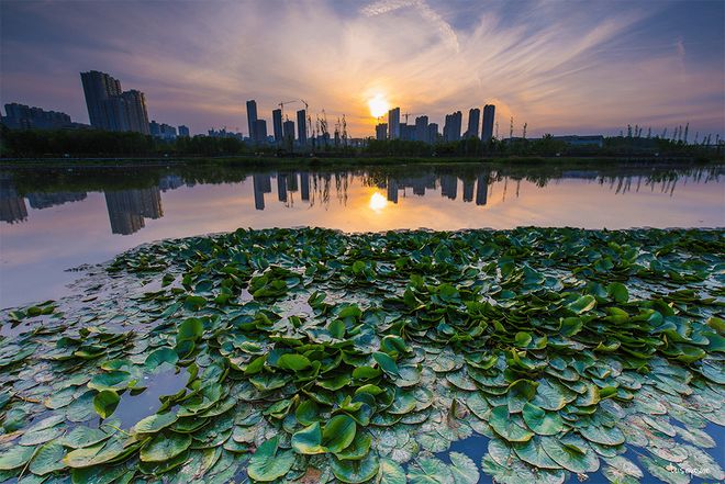【西安新房】龙湖砚熙台→园林景观→学府环伺→容积率→二至三环(图5)