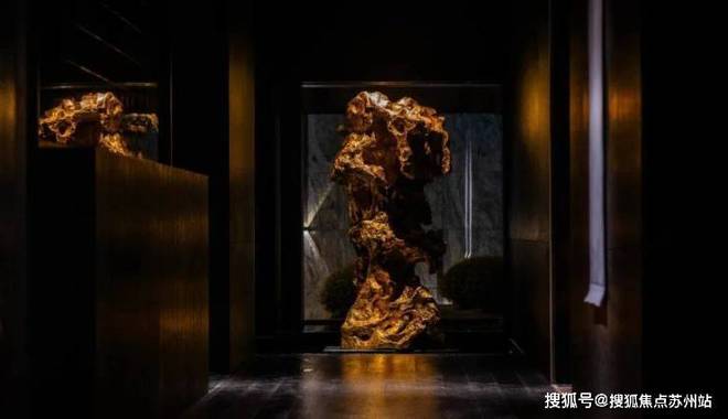 ®露香园-露香园天誉售楼处发布：上海别墅现象级热销(图2)