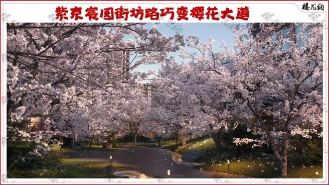 紫京宸园(售楼处)楼盘百科-中建紫京宸园网站-2026北京房天下(图5)