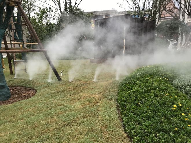 如何选择适合您的景观假山造雾器？实用指南-泰鼎实业(图1)