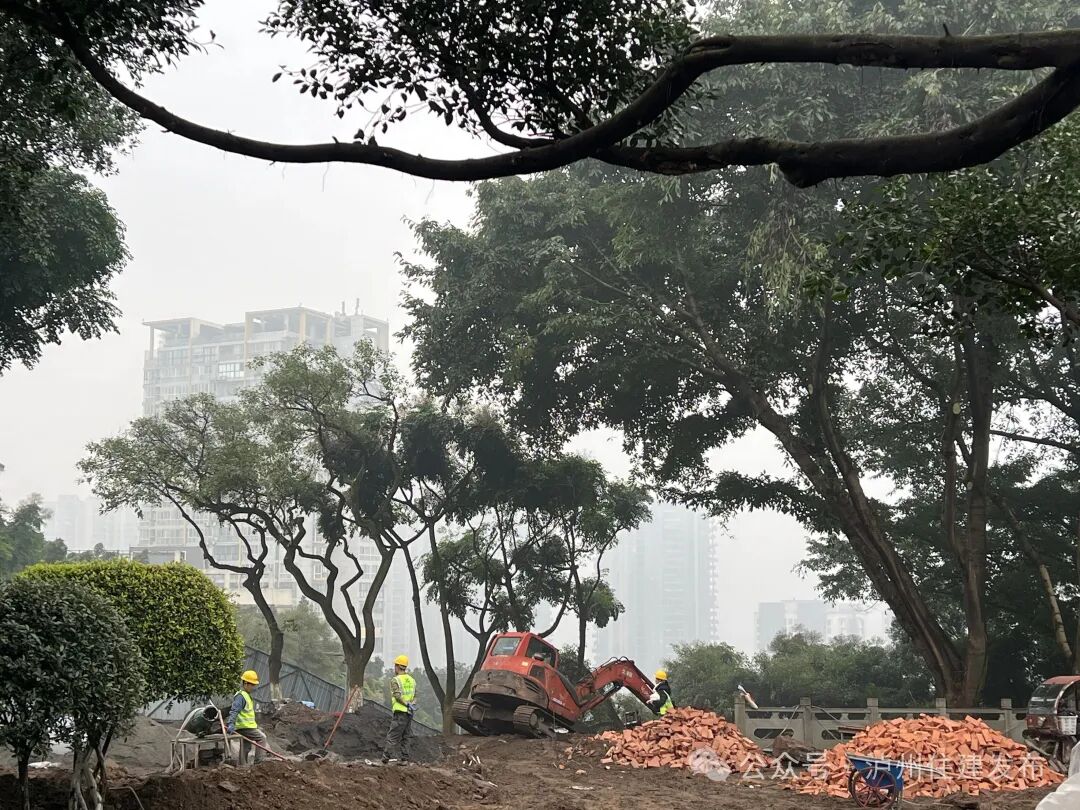 公园城市里的诗意泸州(图2)
