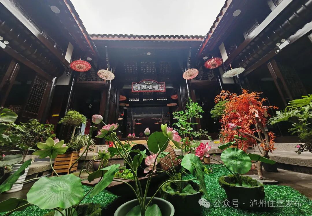 公园城市里的诗意泸州(图6)