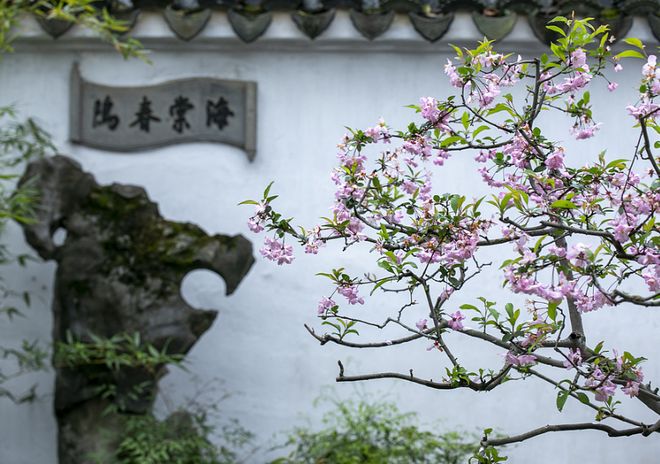 Kaiyun体育网站：路径、视线与屏障：石头凭什么引导中国传统园林空间？(图18)