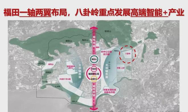【岁宝壹品】福田八卦岭现楼公寓双地铁上盖约52-274㎡(图6)