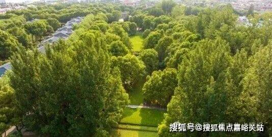 绿宝园(绿宝园翡梵售楼处)电话上海翡梵售楼中心前台电线楼盘百科楼盘网站测评中心电话来电预约看房(图2)