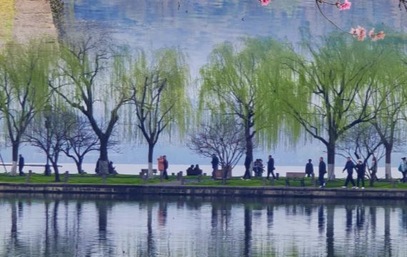 苏杭十大必去景点深度解析湖光山色园林古韵沉浸式玩转江南(图1)