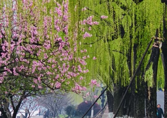 苏杭十大必去景点深度解析湖光山色园林古韵沉浸式玩转江南(图3)