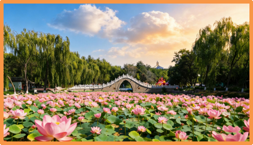 Kaiyun（中国体育）：最全打卡攻略！银川2026年赏花观叶月历来了