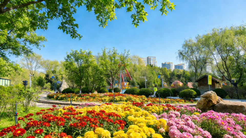 Kaiyun（中国体育）：最全打卡攻略！银川2026年赏花观叶月历来了(图7)