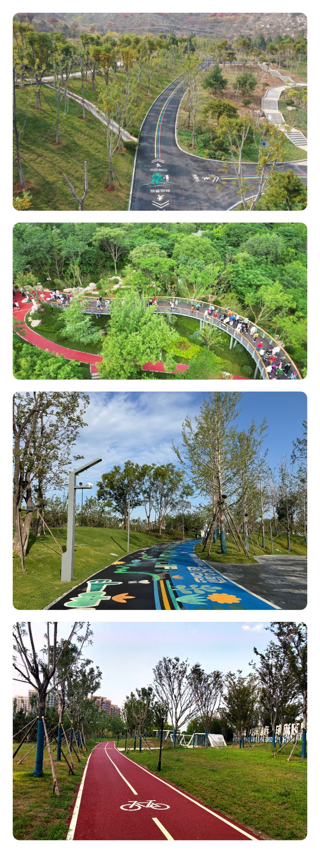 绿动泉城幸福绽放2025年济南园林交出民生实事满意答卷(图2)