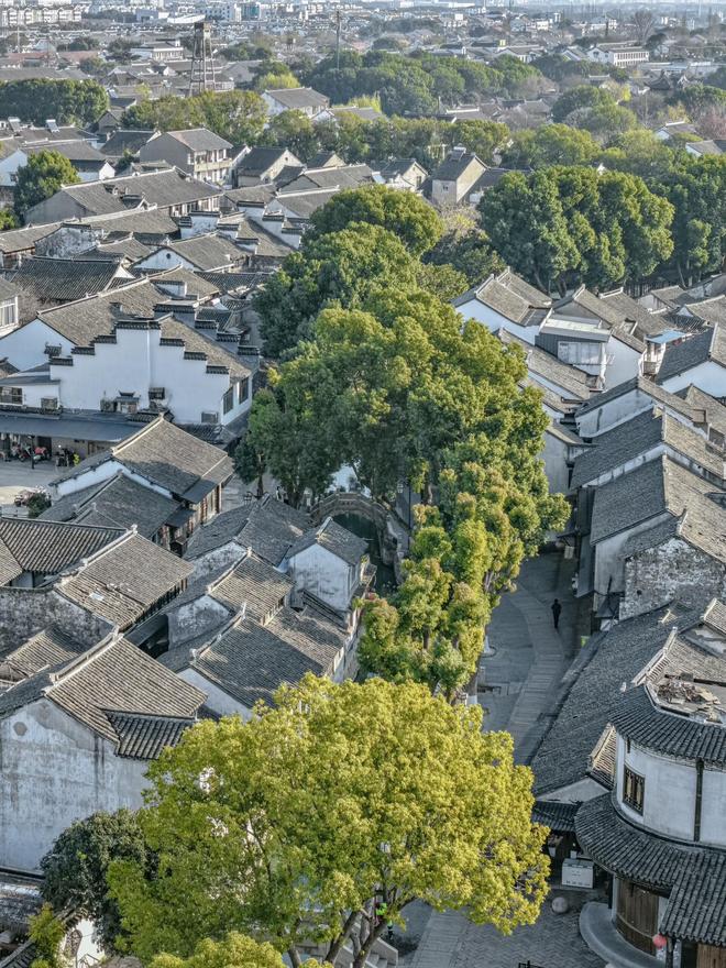 Kaiyun（中国体育）：5天4晚苏杭旅游省时攻略双城高效游玩指南！(图2)