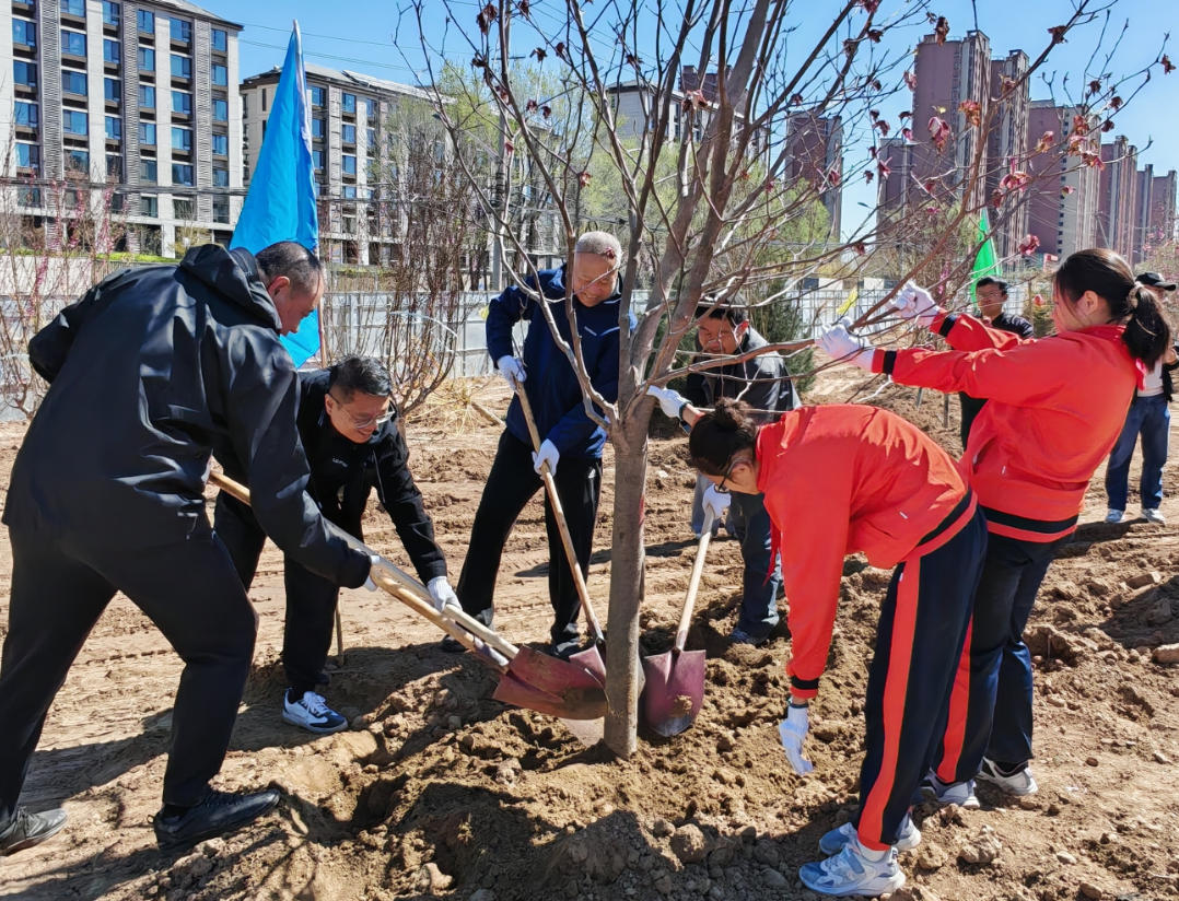 Kaiyun（中国体育）：丰台北宫镇闲置地块将“变身”街边公园(图2)